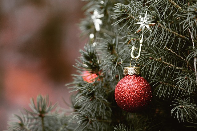 tree-trimming-640x480-8347270.jpeg