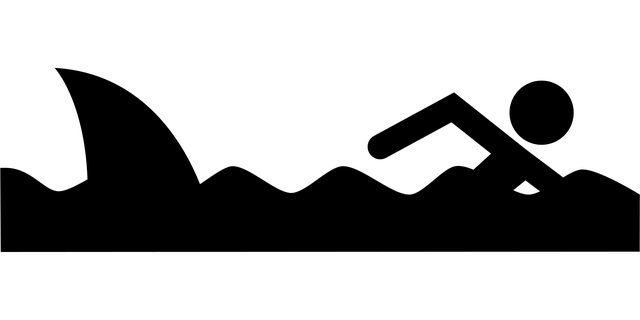 triathlon equipment