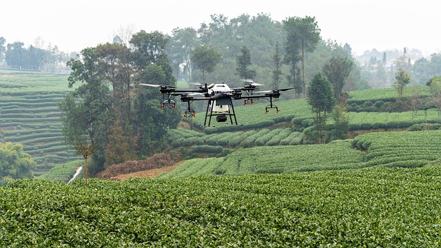 uavs