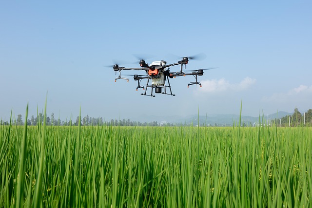 uavs