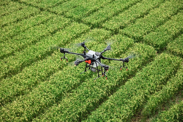uavs