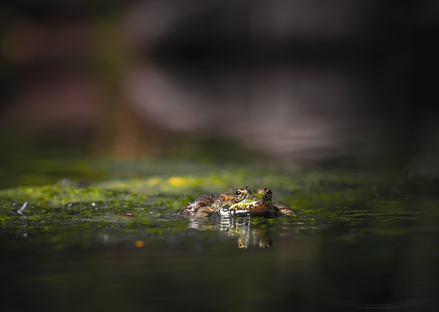 water