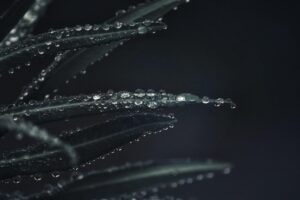 water-640x480-60757890.jpeg
