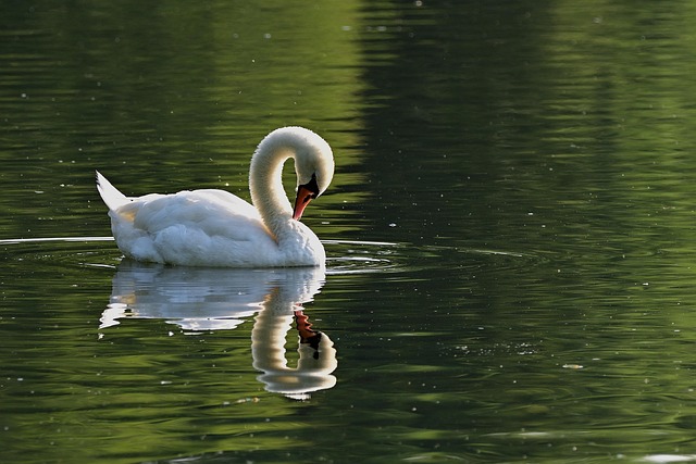 water-640x480-7183293.jpeg