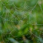 Richardson TX Web Design: Multi-Location Strategies for Success