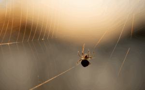 web-design-640x480-2309876.png
