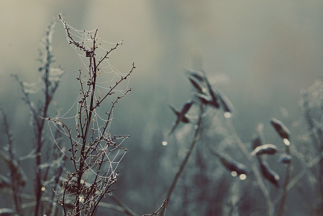 web-design-640x480-25230271.jpeg