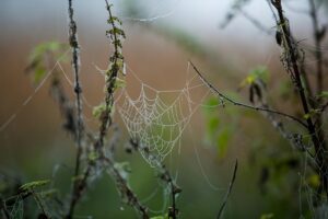 web-design-640x480-36498480.jpeg