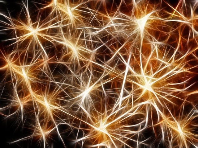 web-design-640x480-3924882.jpeg