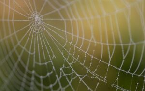 web-design-640x480-39357038.jpeg