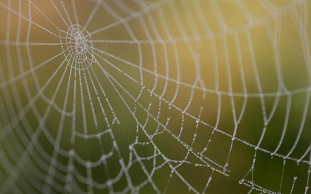 web-design-640x480-39357038.jpeg