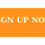 Mastering Garland TX Web Design for Multi-Location Success