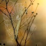 Ensuring Consistent Branding Across Platforms for Richardson TX Web Design