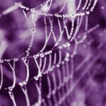 Dallas TX Web Design: Optimize Retail Success & Conversions