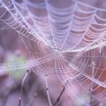 Optimizing Duncanville TX Web Design for Conversion Success