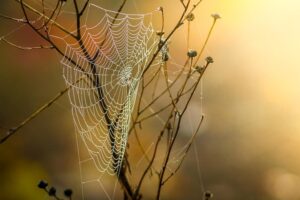web-design-640x480-58096536.jpeg