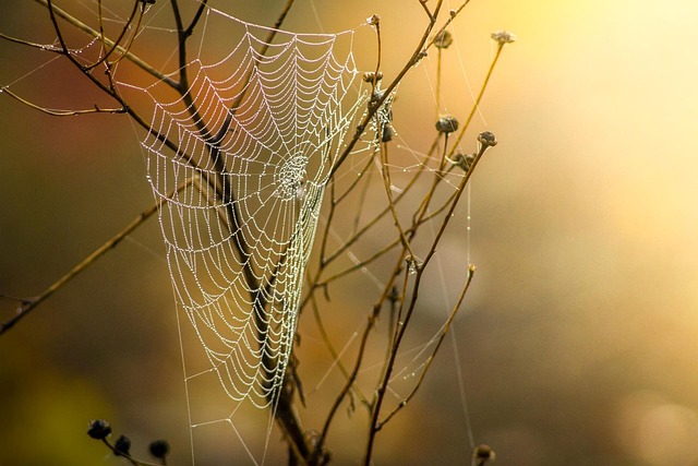 web-design-640x480-58096536.jpeg