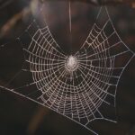 Unleash Success: Balch Springs TX Web Design Analytics & Tracking