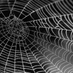 Brand Integration Mastery: Plano TX Web Design Strategies