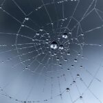 Streamline Coppell TX Web Design with Payment Gateway Integration
