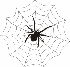 web-design-640x480-72600963.png