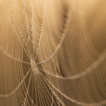 Unleash Success: Lancaster TX Web Design Analytics Strategies