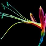 Cleaning Exotic Apparel: Delicate Care for Women’s Sensible Fabrics