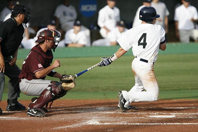 baseball equipment