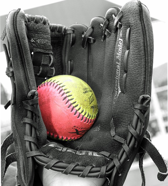 baseball equipment
