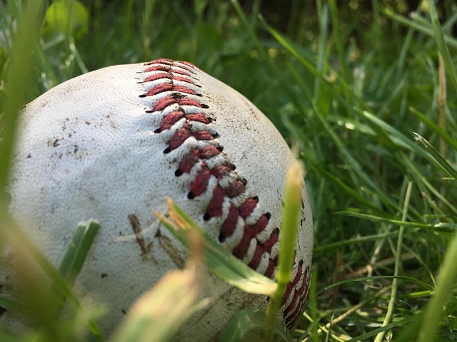 baseball equipment