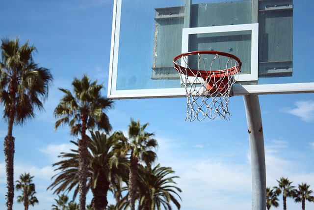 basketball training equipment