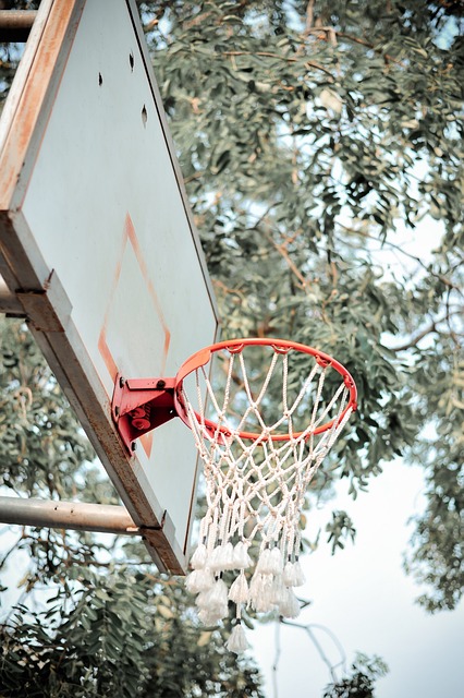 basketball training equipment