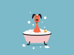 bath-rugs-640x480-8337727.png
