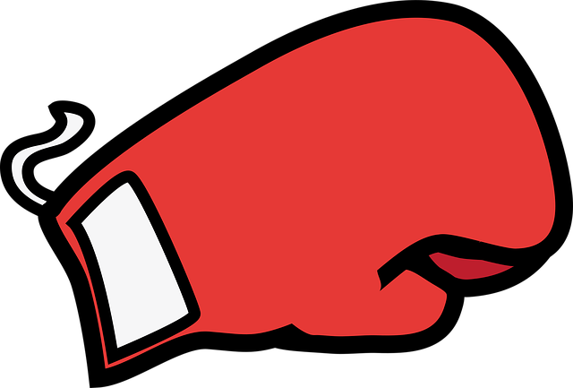 boxing bag gloves