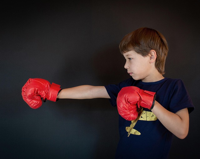 boxing bag gloves