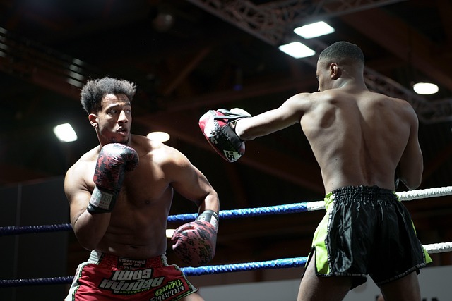 boxing bag gloves