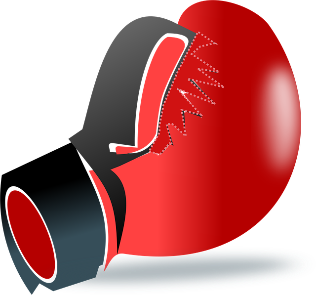 boxing bag gloves