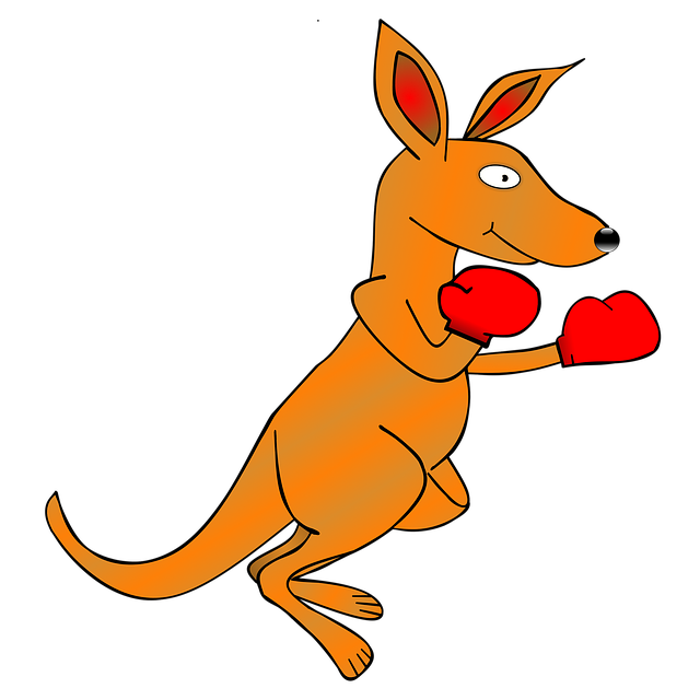 boxing bag gloves