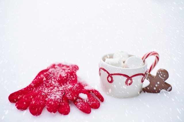 chocolate molds