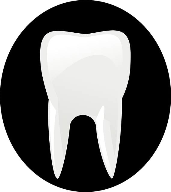 dental-burs-640x480-45963752.png