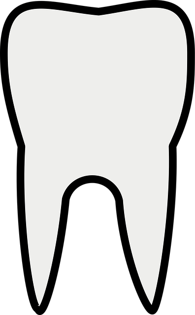 dental burs