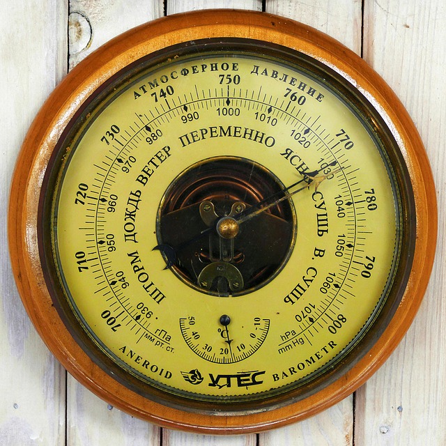 dog thermometers