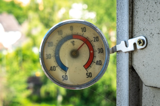 dog thermometers