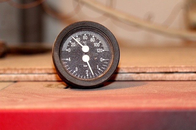 dog thermometers