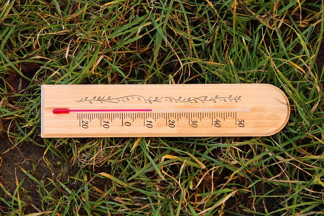 dog thermometers