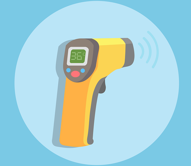 dog thermometers