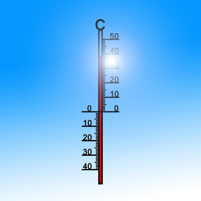 dog thermometers