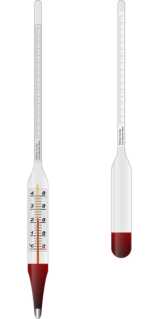 dog thermometers