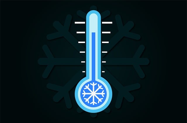 dog thermometers