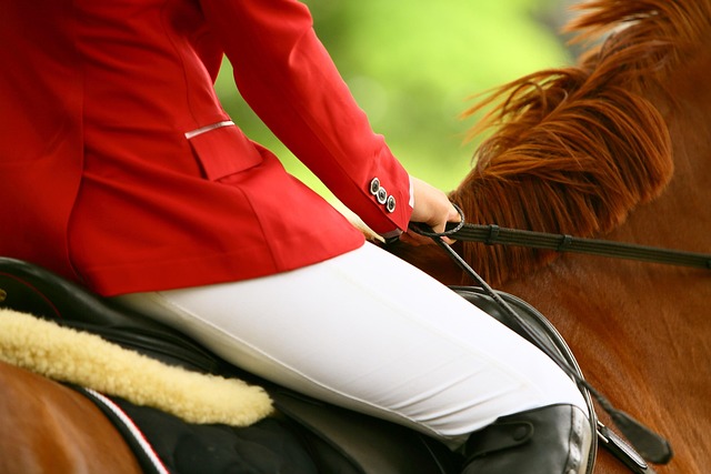 equestrian equipment